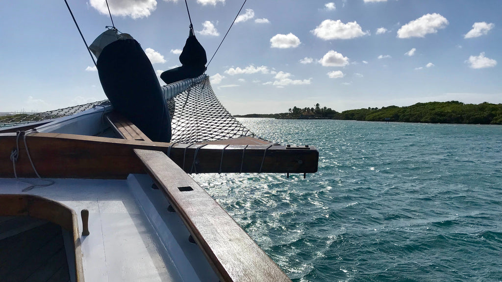 Sailing in Aruba